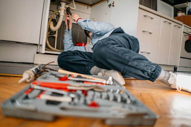 Best Septic Systems  in Walhalla, SC